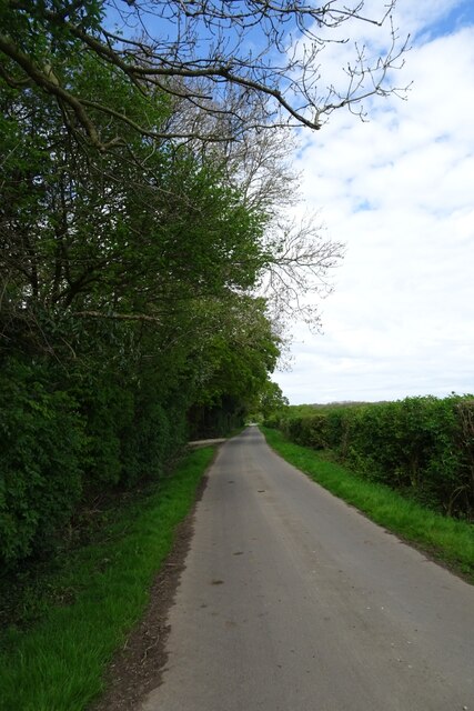 Rooke Lane Passing A Plantation © Ds Pugh Cc By Sa20 Geograph