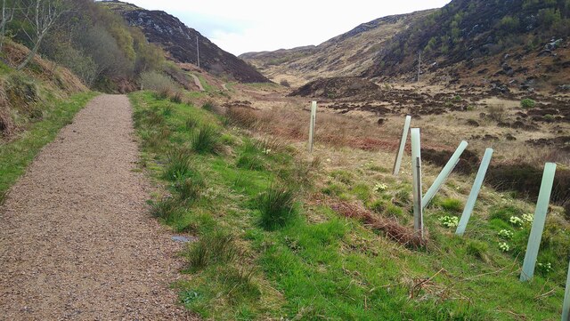 The Mallaig Circular path © Gordon Brown :: Geograph Britain and Ireland