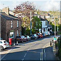 A Moment in Time — Cars Parking on Main Road