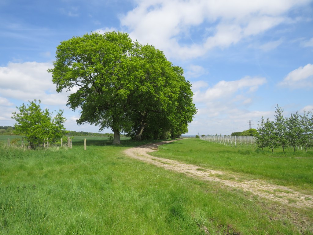 North-east on the Saxon Shore Way © David M Clark :: Geograph Britain ...