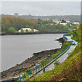 Following the Tyne — A Path Along the River at St. Anthony