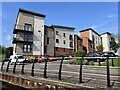 Buildings on Caldon Quay