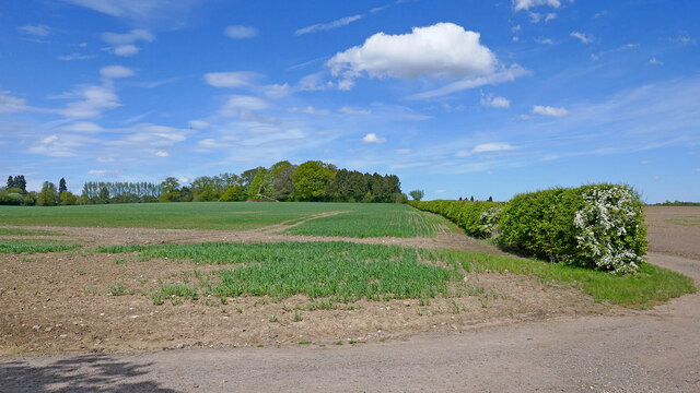 Farmland south-east of Wrottesley Hall... © Roger D Kidd :: Geograph ...