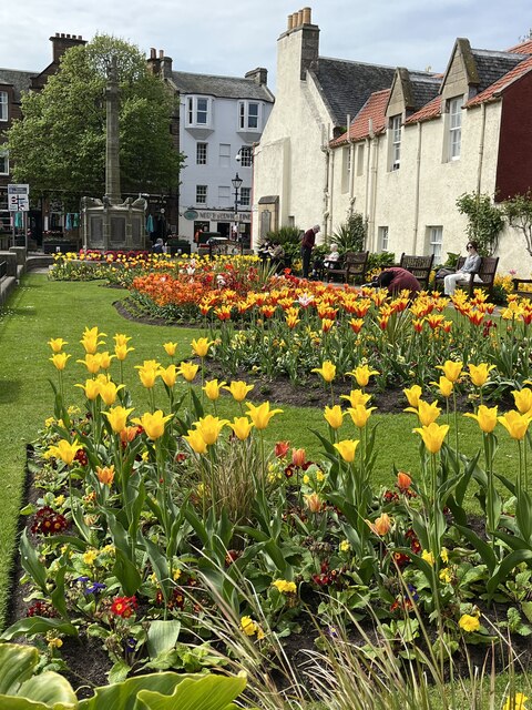 Tulips by North Berwick War Memorial © Jennifer Petrie cc-by-sa/2.0 ...