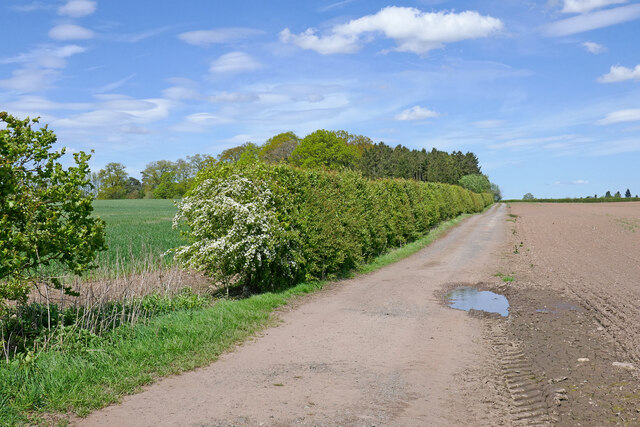 Bridleway south-east of Wrottesley Hall... © Roger D Kidd :: Geograph ...