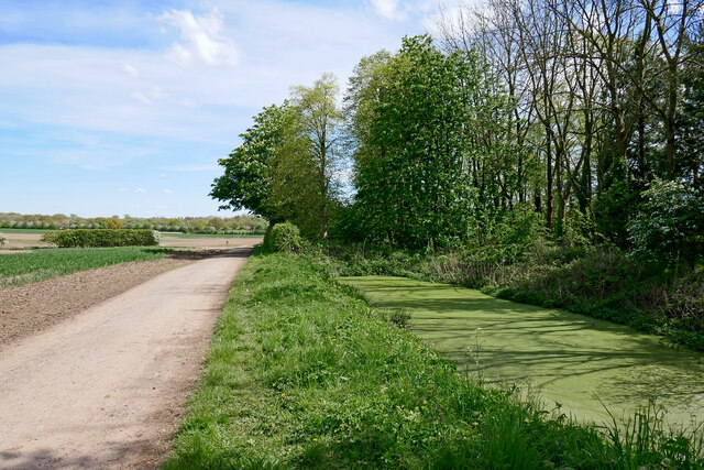 Pool by crop fields near Wrottesley Hall... © Roger D Kidd :: Geograph ...