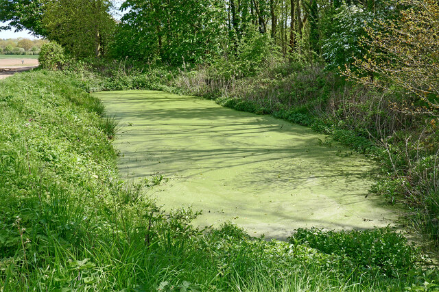 Pool by crop fields near Wrottesley Hall... © Roger D Kidd :: Geograph ...