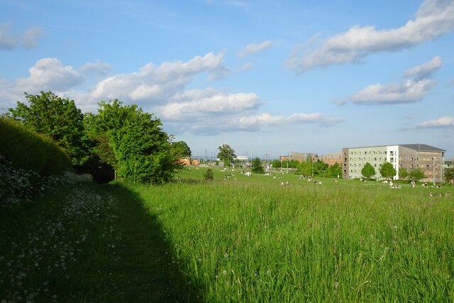 Sunny day on Heslington East © DS Pugh :: Geograph Britain and Ireland