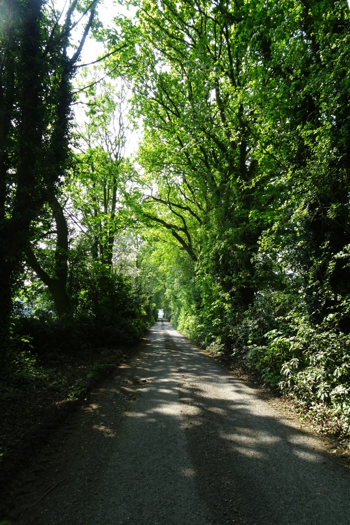 New Parks Way © DS Pugh :: Geograph Britain and Ireland