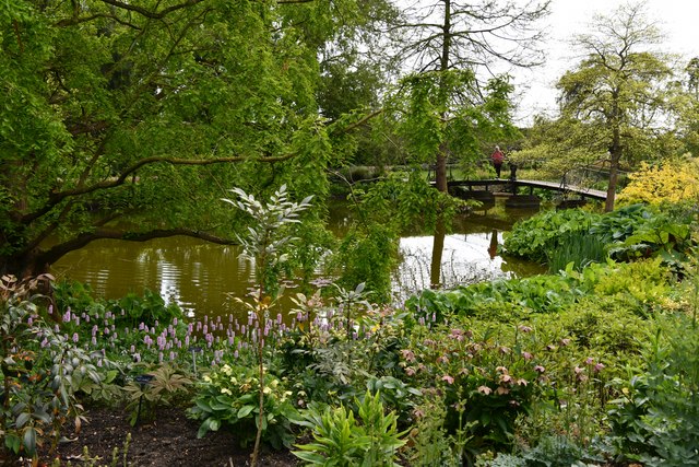 RHS Hyde Hall: The Lower Pond © Michael Garlick cc-by-sa/2.0 ...