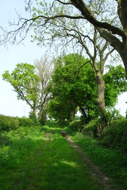 Southern end of Allotments Lane © DS Pugh cc-by-sa/2.0 :: Geograph ...