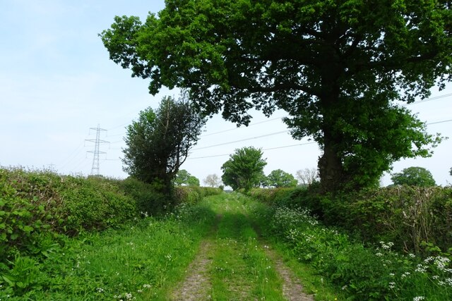 Allotments Lane and overhead cables © DS Pugh cc-by-sa/2.0 :: Geograph ...