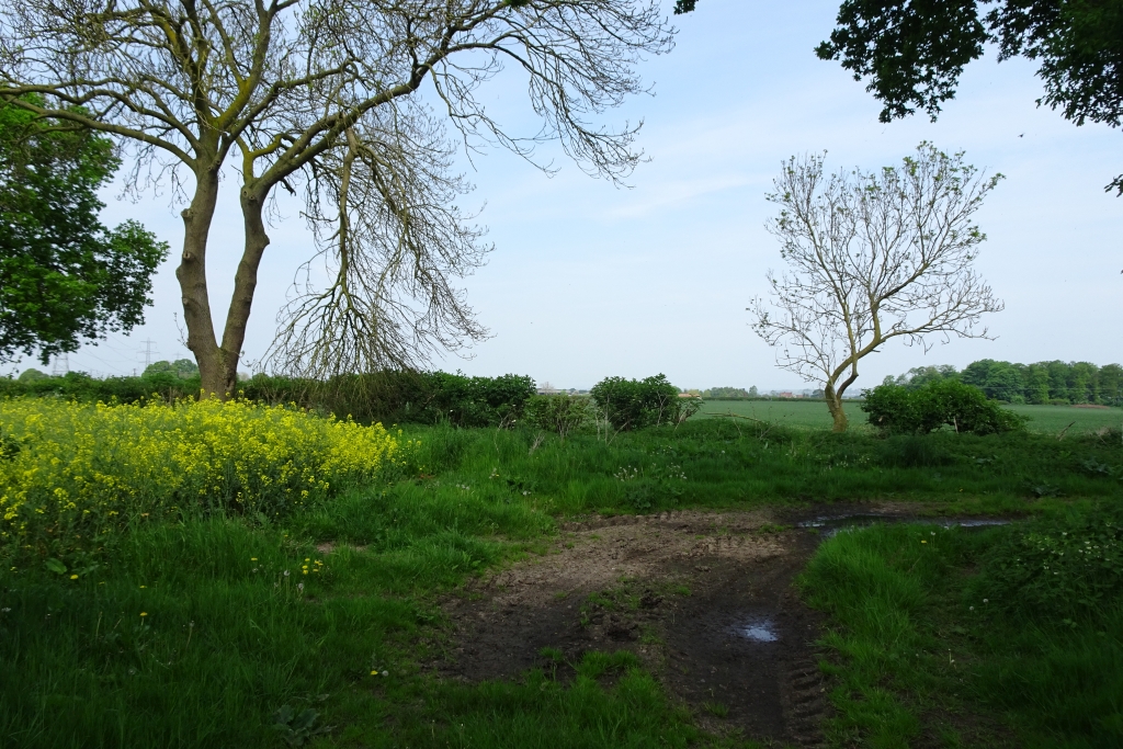 Corner on Allotments Lane © DS Pugh :: Geograph Britain and Ireland