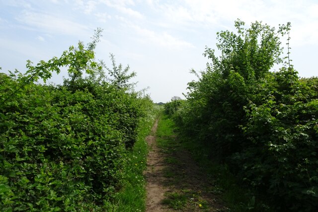 East along Allotments Lane © DS Pugh :: Geograph Britain and Ireland