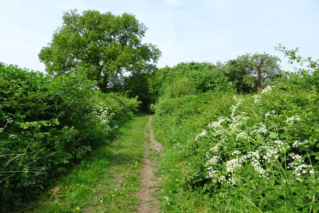 West along Allotments Lane © DS Pugh cc-by-sa/2.0 :: Geograph Britain ...