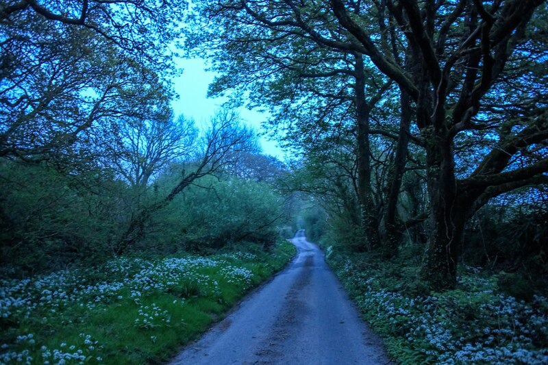 Georgeham : Mains Down Lane © Lewis Clarke cc-by-sa/2.0 :: Geograph ...