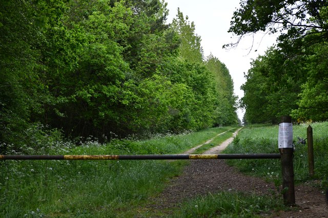 Cockley Cley: Ten Acre Plantation © Michael Garlick :: Geograph Britain ...