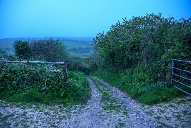 Mortehoe : Track © Lewis Clarke cc-by-sa/2.0 :: Geograph Britain and ...