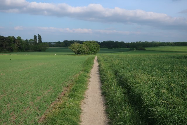 Millennium Path to Bar Hill © Hugh Venables cc-by-sa/2.0 :: Geograph ...