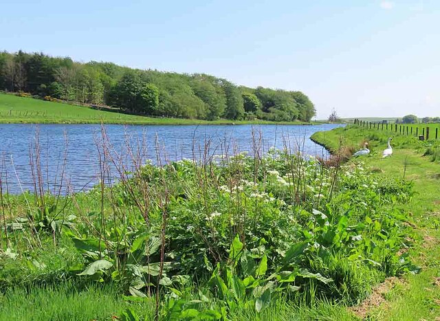 Fedderate Reservoir © Anne Burgess :: Geograph Britain and Ireland