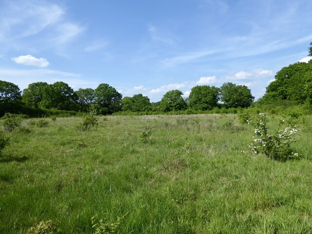 Greenwood Field © Simon Carey :: Geograph Britain and Ireland