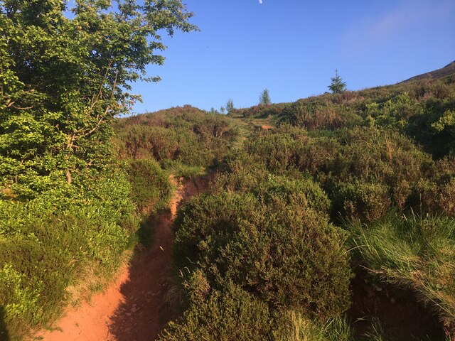 Path on the Eildon Hills