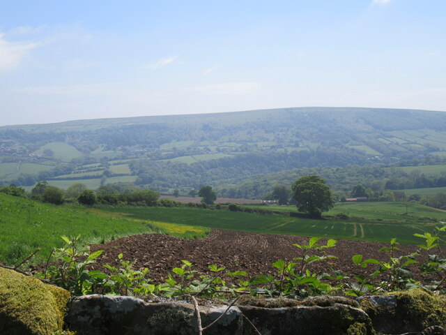 Near Aislaby © T Eyre cc-by-sa/2.0 :: Geograph Britain and Ireland