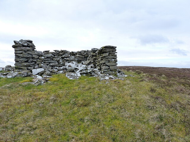 Grouse Shooting Shelter From The Nw © Richard Law Cc-by-sa 2.0 