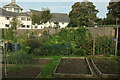 Victoria Road Allotments, Clevedon