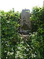 Trig point on Cadford Lane