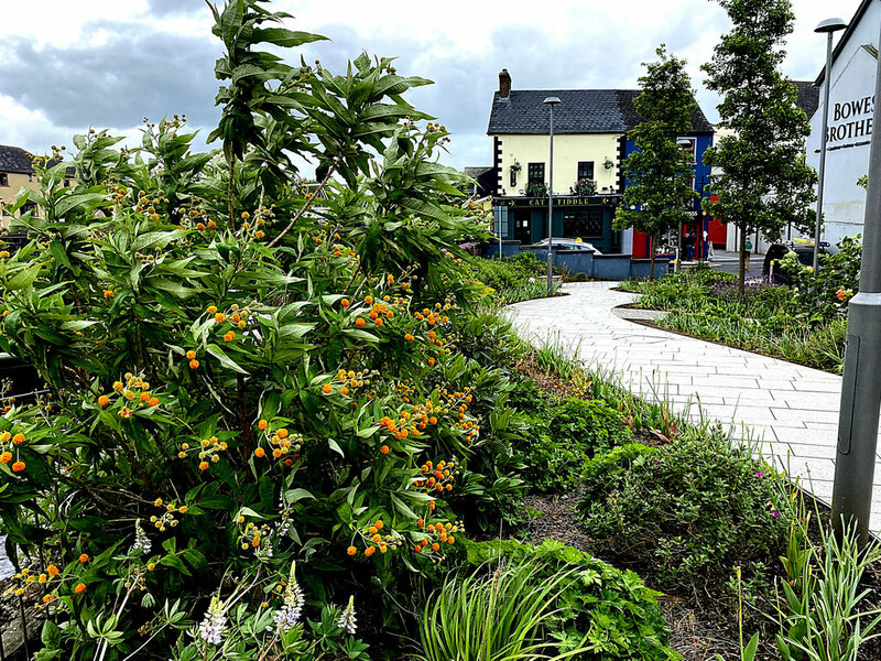 Orange ball tree, Strule Arts Centre,... © Kenneth Allen cc-by-sa/2.0 ...