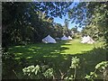 Yurts or Bell Tents?