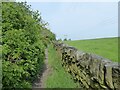 Path on old green lane