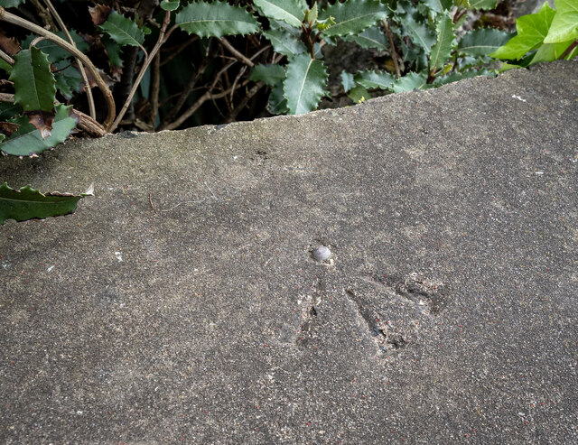 Bench Mark, Carrickfergus © Rossographer cc-by-sa/2.0 :: Geograph Ireland