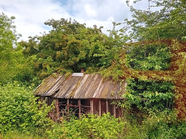 Dilapidated Shack © David Bremner :: Geograph Britain and Ireland