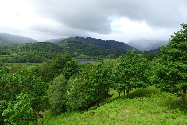 Trees on the slopes of Neaum Crag © DS Pugh cc-by-sa/2.0 :: Geograph ...