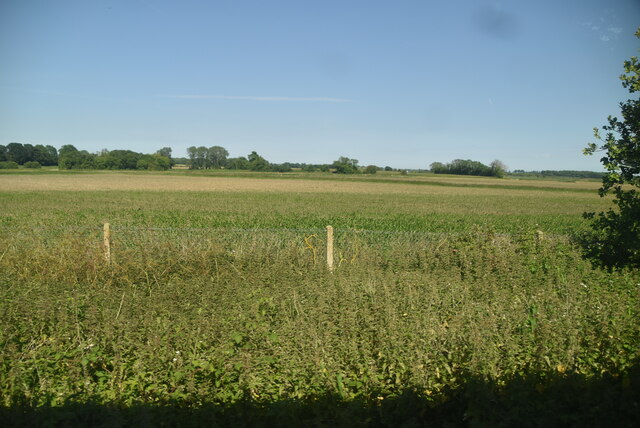 Farmland, Minster Marshes © N Chadwick :: Geograph Britain and Ireland