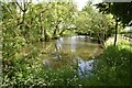 Pond south of the church at Kelshall