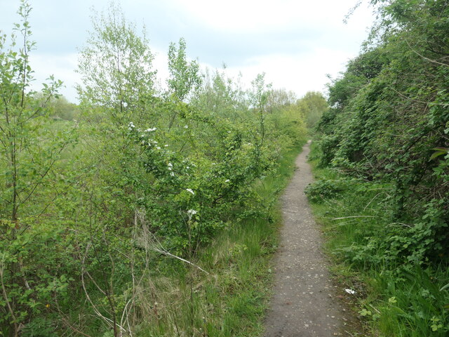 Washlands path heading to the River... © Christine Johnstone ...