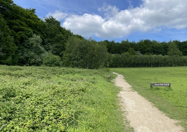 Forest Trim Trail © Mr Ignavy Cc By Sa20 Geograph Britain And Ireland