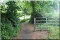 Cycleway meets the highway