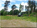 J3631 : Storm collapsed pines being harvested by a John Deere 1270G by Eric Jones
