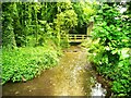 The mill race, Radwell