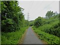 Trans Pennine Trail at Portwood