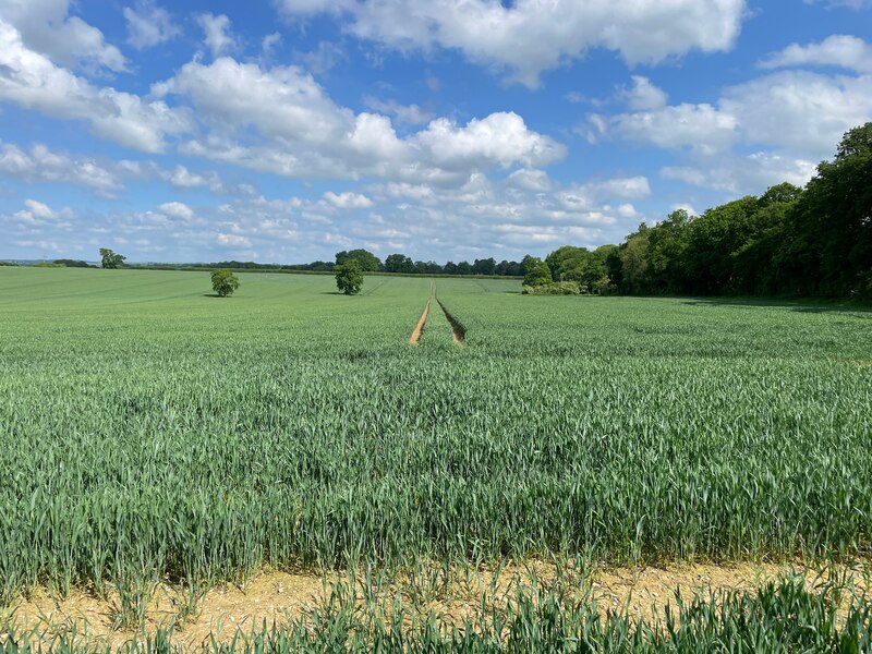 Farmland south of Oakley Park © Mr Ignavy cc-by-sa/2.0 :: Geograph ...