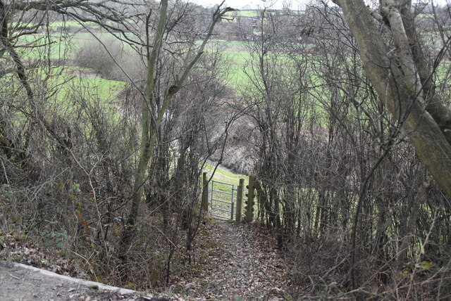 Gate, Sussex Border Path © N Chadwick :: Geograph Britain and Ireland