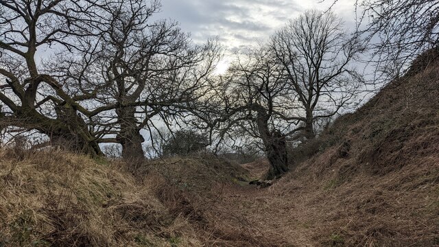 Outer ditch at Croft Ambrey © Fabian Musto :: Geograph Britain and Ireland