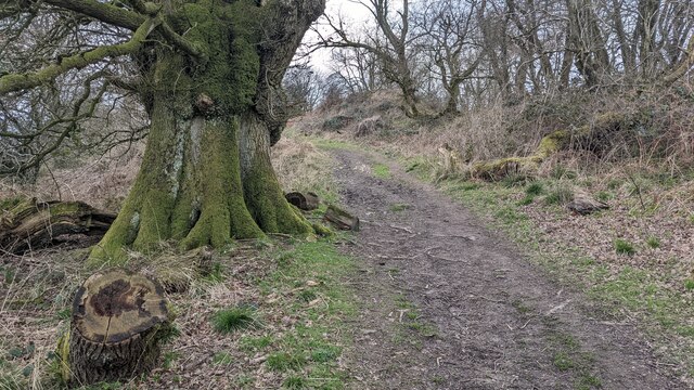 Path to Croft Ambrey © Fabian Musto :: Geograph Britain and Ireland