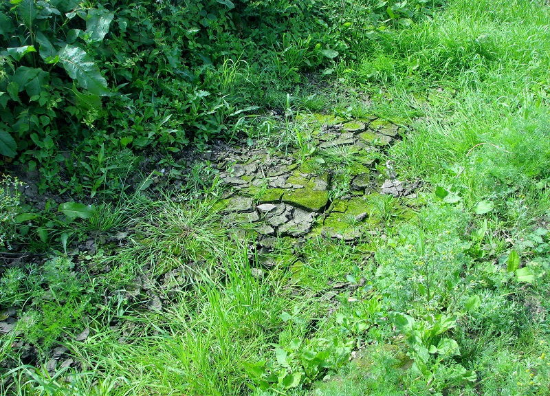 Dry mud in ditch beside Cross Stone Road © Evelyn Simak cc-by-sa/2.0 ...