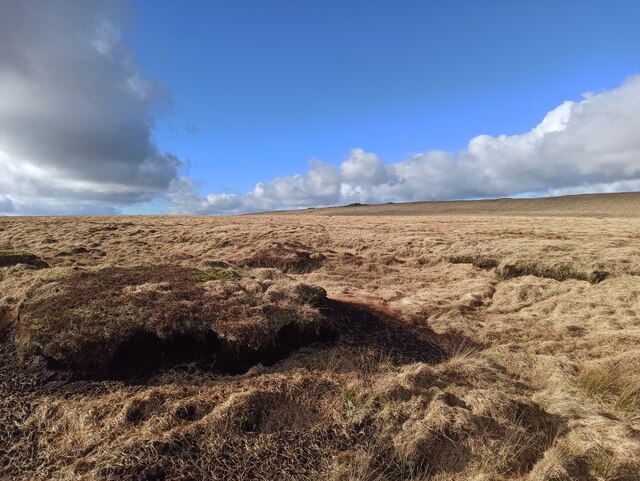 Moors in the path to Llyn Carw © Dani cc-by-sa/2.0 :: Geograph Britain ...